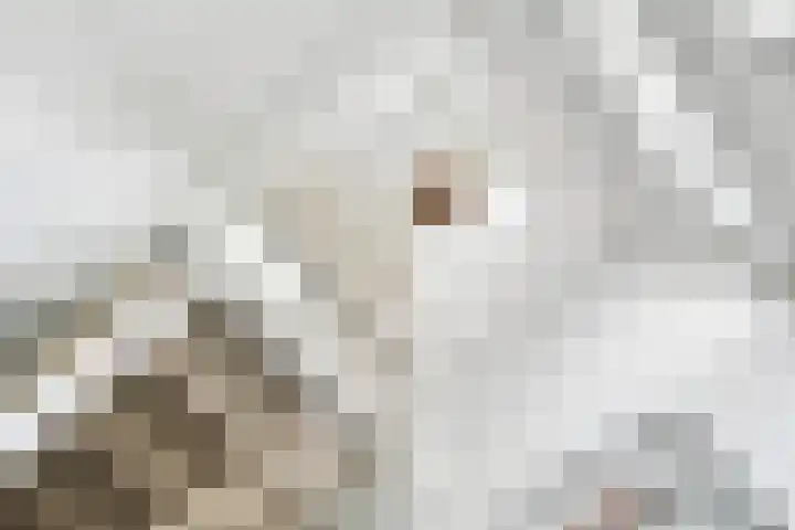 Riperwei 10 Tijnje thumbnail 21
