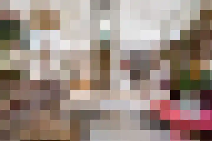 Riperwei 10 Tijnje thumbnail 24
