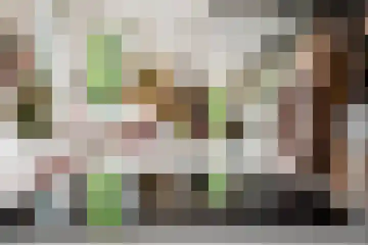 Riperwei 10 Tijnje thumbnail 30