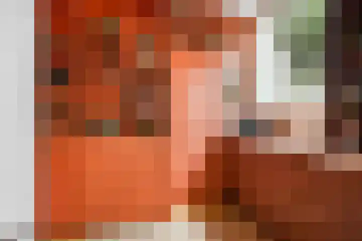 Riperwei 10 Tijnje thumbnail 31