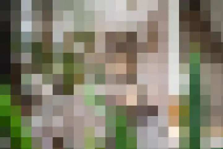 Riperwei 10 Tijnje thumbnail 35