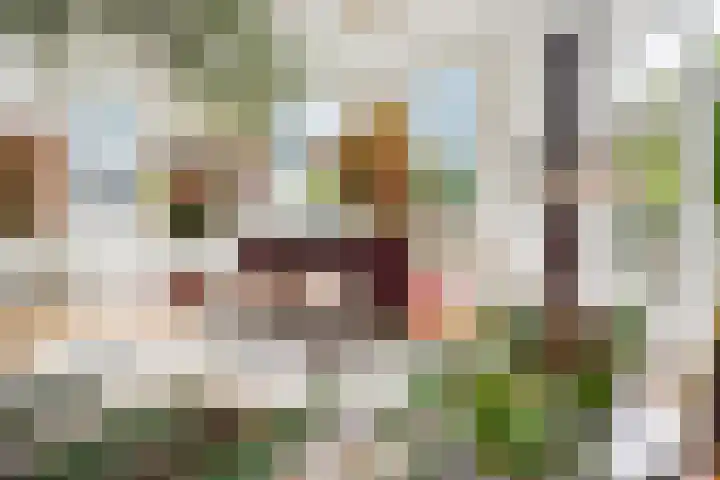 Riperwei 10 Tijnje thumbnail 36