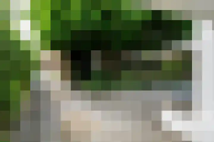 Riperwei 10 Tijnje thumbnail 4