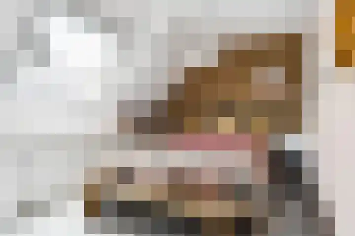 Riperwei 10 Tijnje thumbnail 40