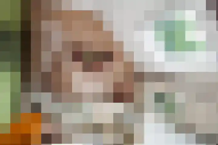 Riperwei 10 Tijnje thumbnail 43