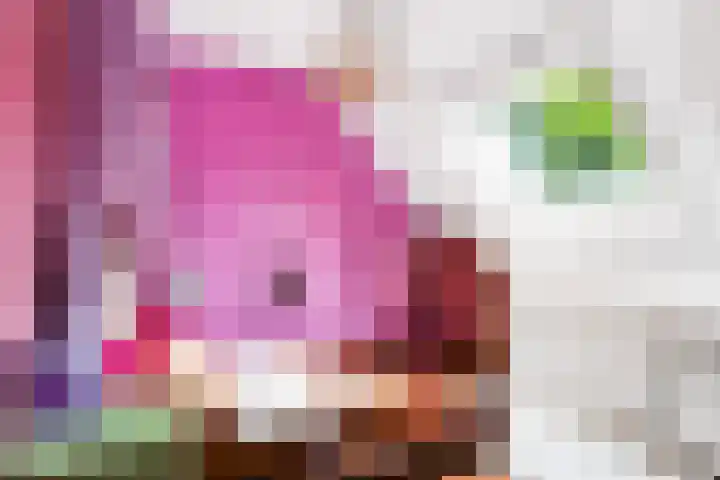 Riperwei 10 Tijnje thumbnail 45