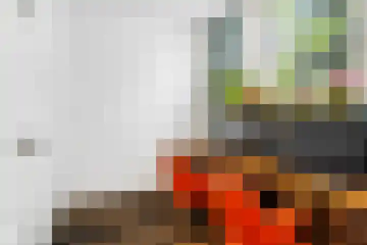Riperwei 10 Tijnje thumbnail 46