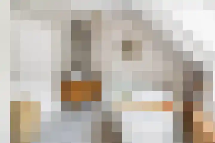 Riperwei 10 Tijnje thumbnail 47