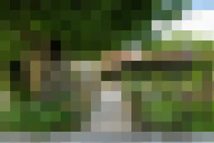 Riperwei 10 Tijnje thumbnail 5