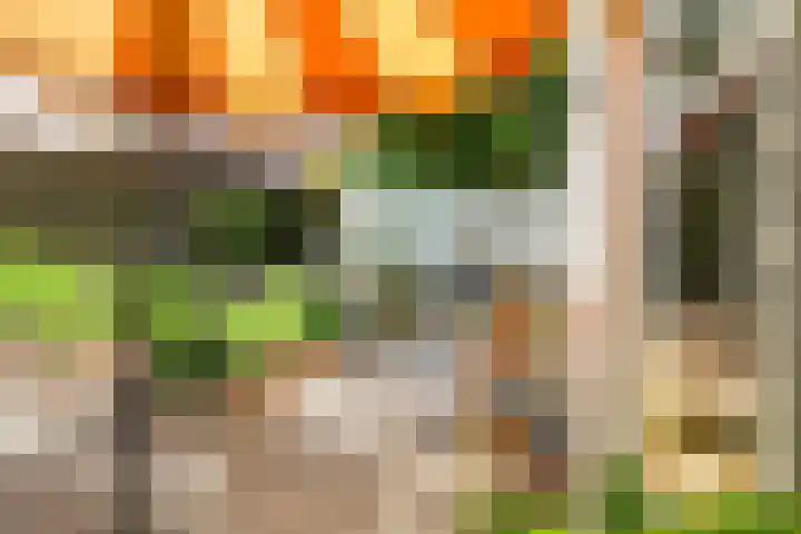 Riperwei 10 Tijnje thumbnail 7