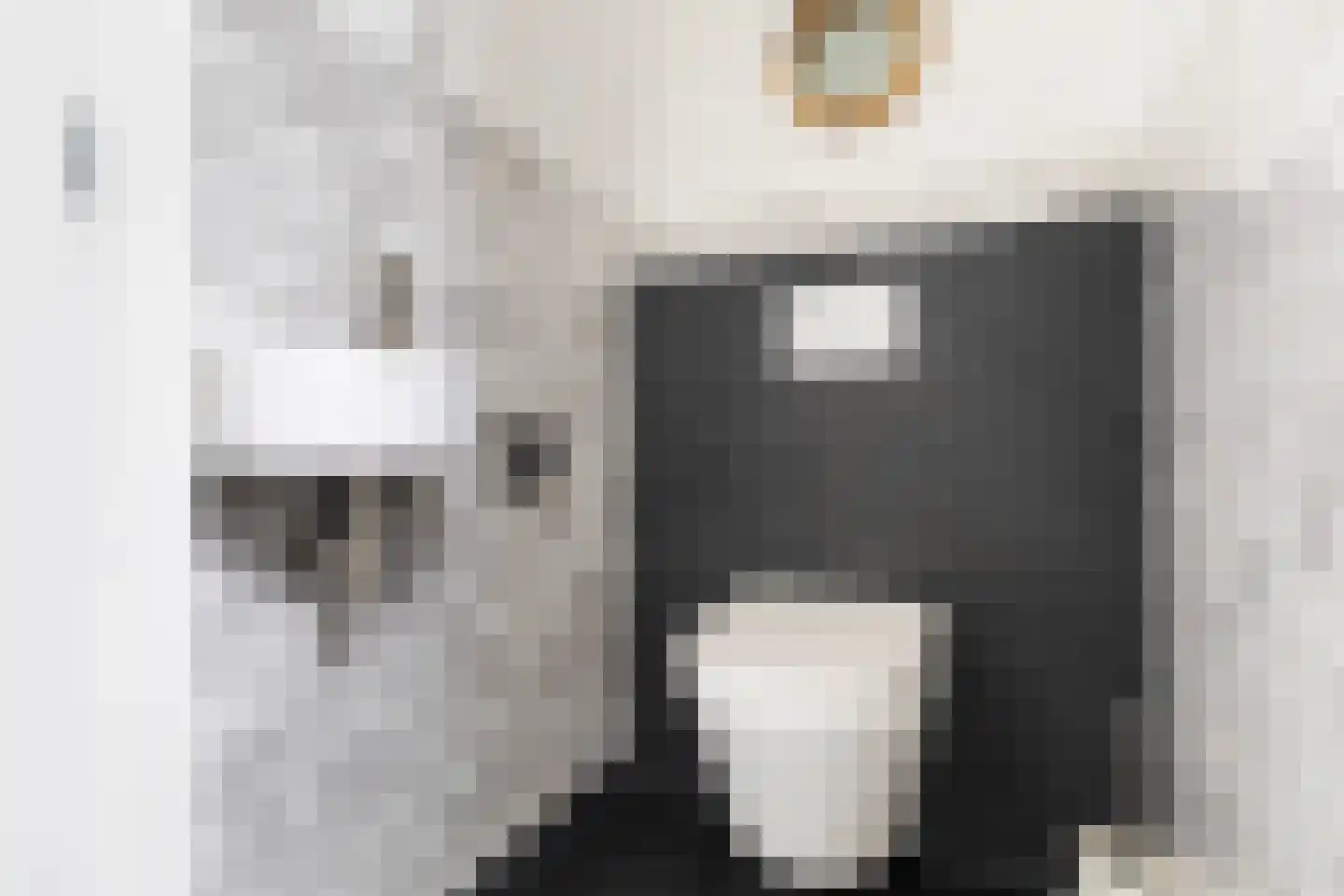 Riperwei 13 Jutrijp thumbnail 12