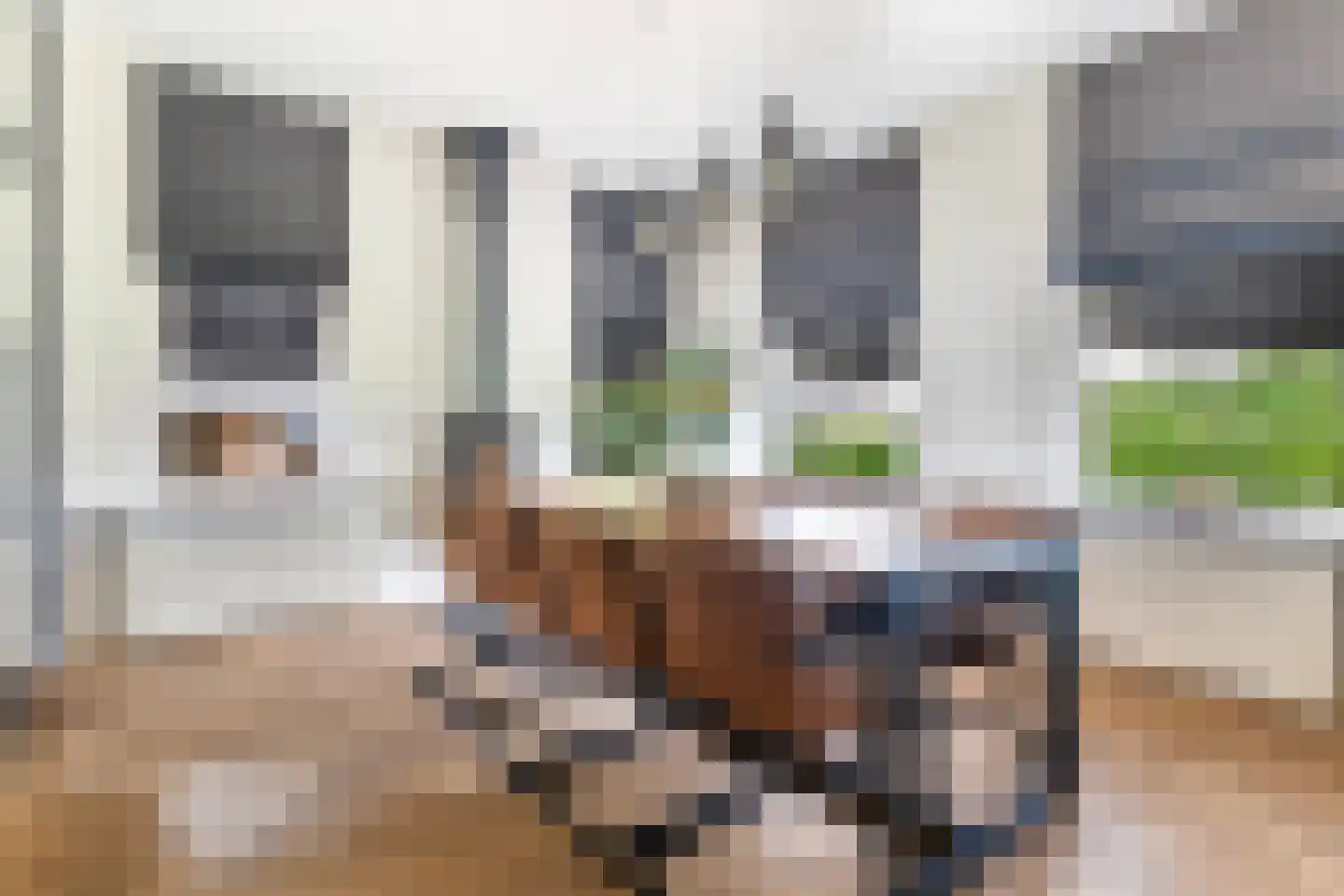 Riperwei 13 Jutrijp thumbnail 19