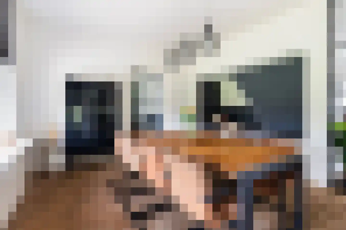 Riperwei 13 Jutrijp thumbnail 21