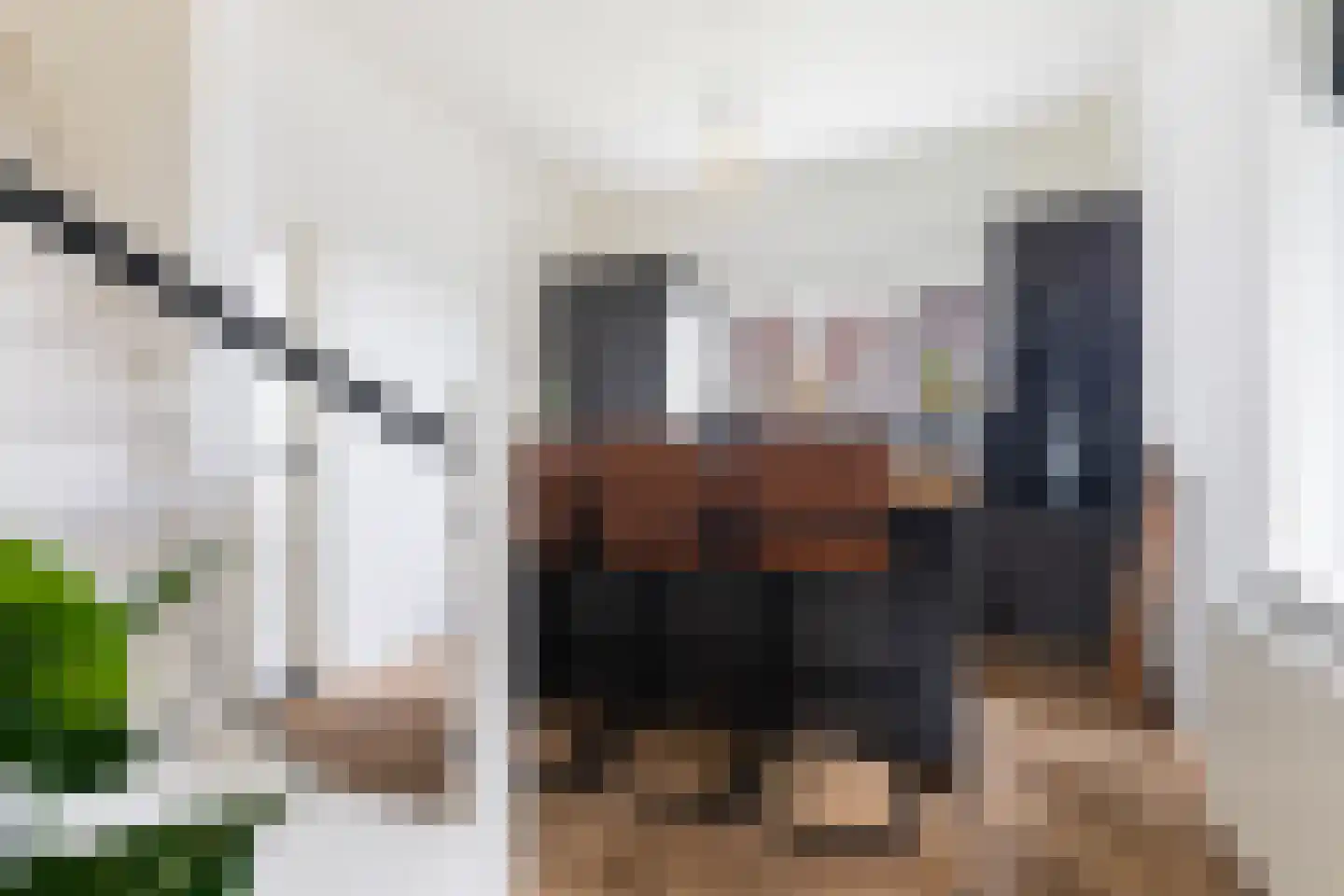 Riperwei 13 Jutrijp thumbnail 24