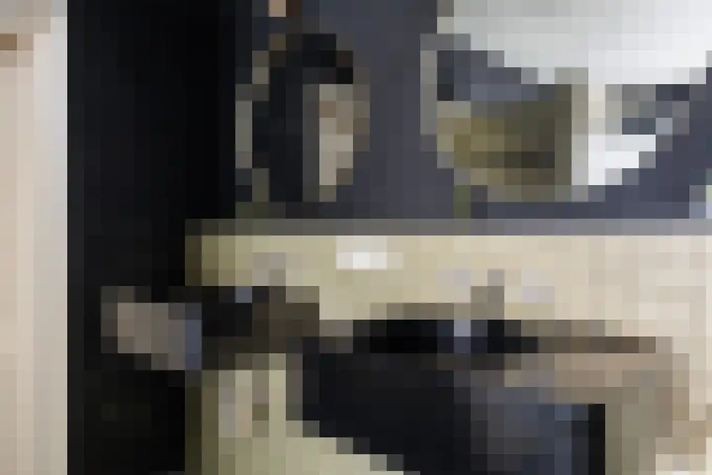 Riperwei 13 Jutrijp thumbnail 32