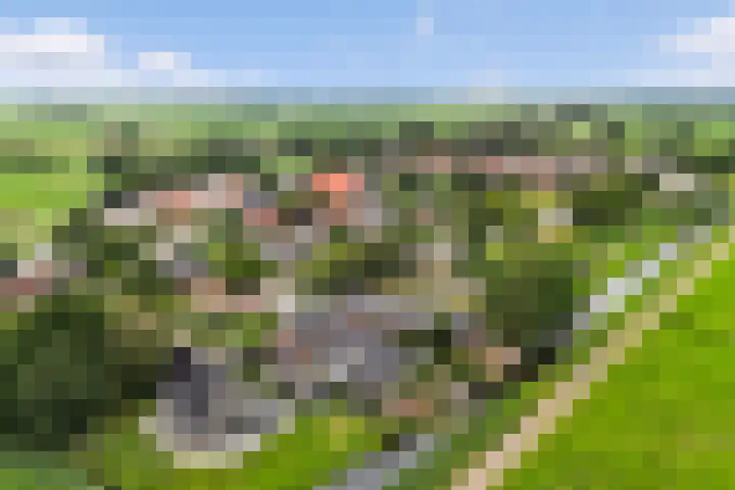 Riperwei 13 Jutrijp thumbnail 51
