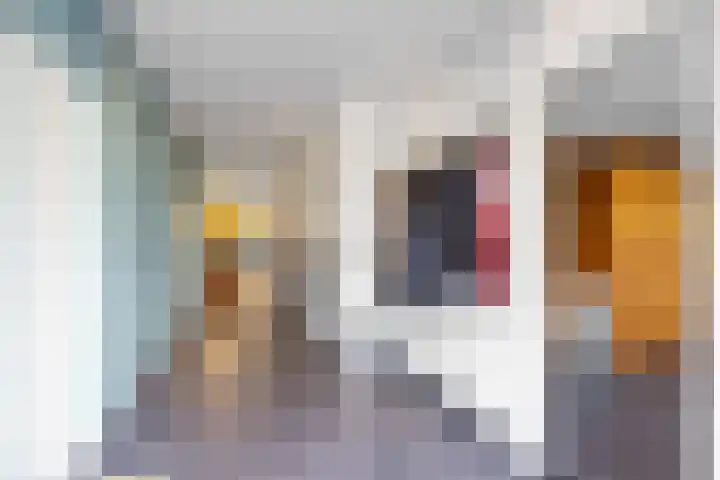 Riperwei 15 Jutrijp thumbnail 30