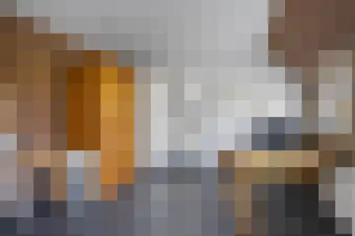 Riperwei 15 Jutrijp thumbnail 32