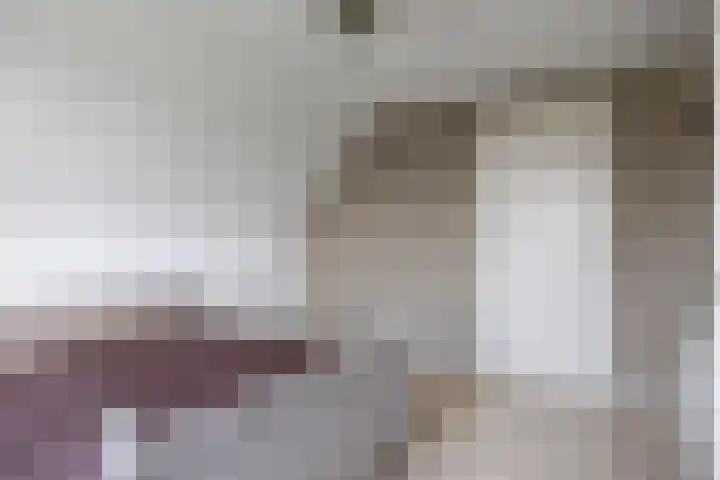 Riperwei 15 Jutrijp thumbnail 42