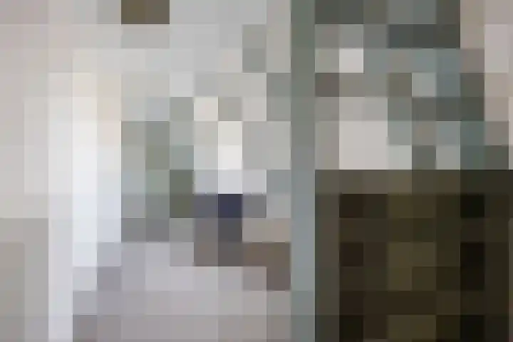 Riperwei 15 Jutrijp thumbnail 48