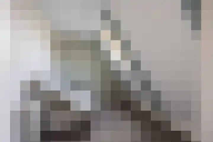 Riperwei 15 Jutrijp thumbnail 49