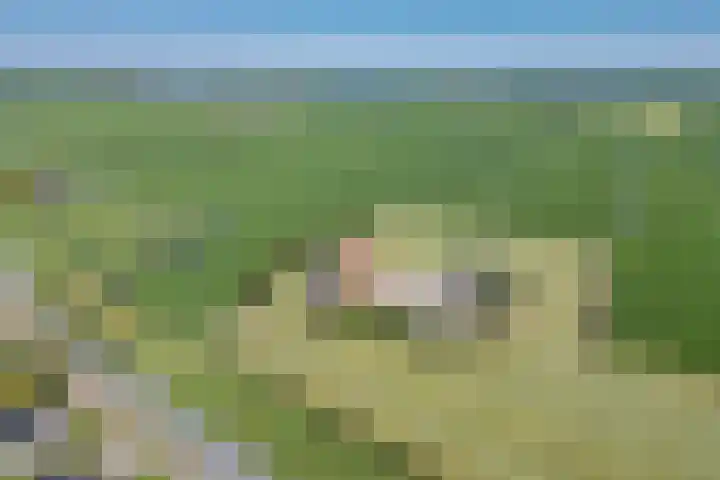 Riperwei 15 Jutrijp thumbnail 5