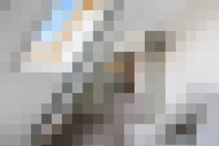 Riperwei 15 Jutrijp thumbnail 50