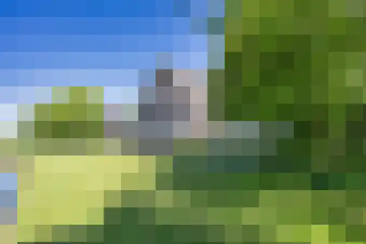 Riperwei 15 Jutrijp thumbnail 52