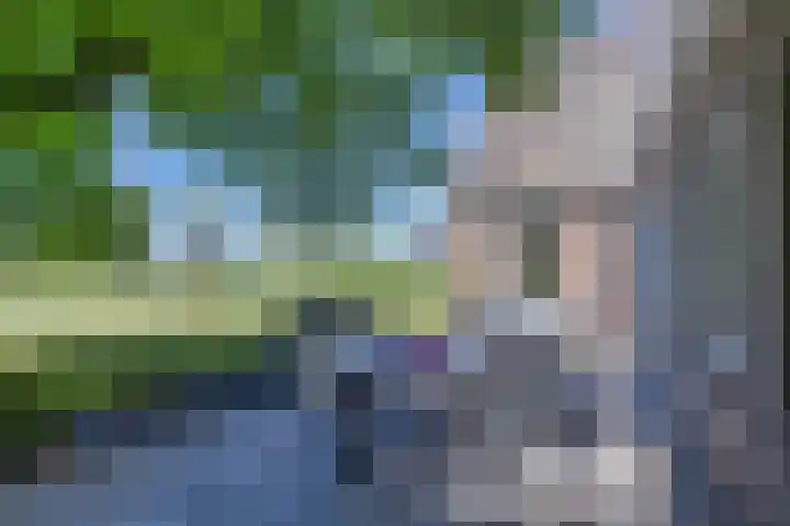 Riperwei 15 Jutrijp thumbnail 53