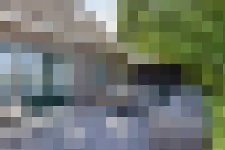 Riperwei 15 Jutrijp thumbnail 54