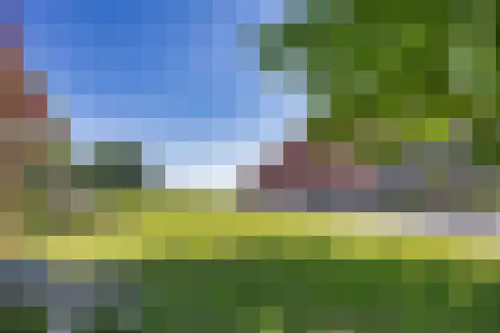 Riperwei 15 Jutrijp thumbnail 56