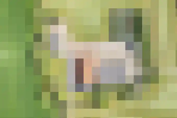 Riperwei 15 Jutrijp thumbnail 66