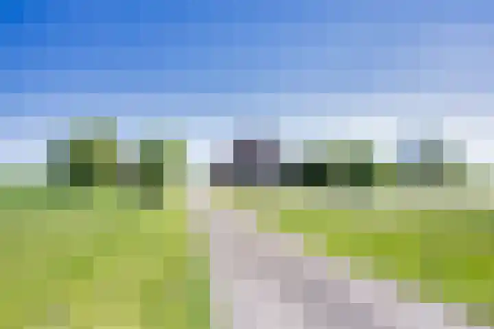 Riperwei 15 Jutrijp thumbnail 69