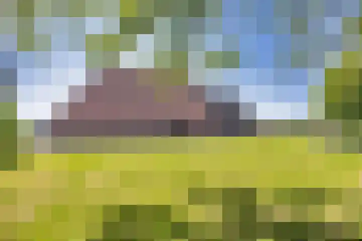 Riperwei 15 Jutrijp thumbnail 7