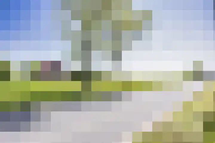 Riperwei 15 Jutrijp thumbnail 71