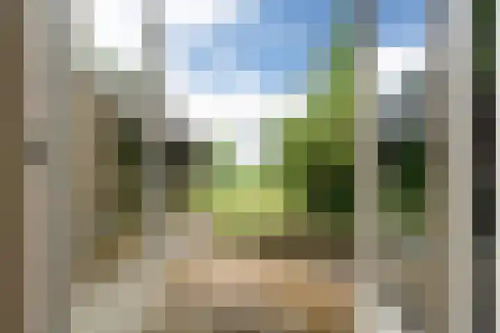 Riperwei 38 Jutrijp thumbnail 16