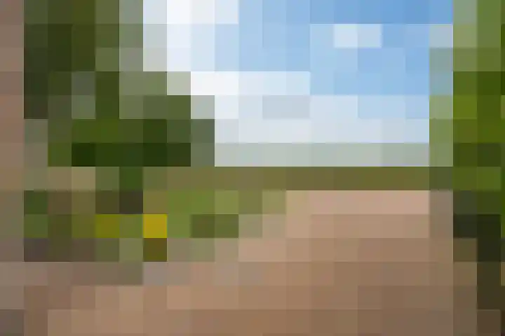 Riperwei 38 Jutrijp foto 2