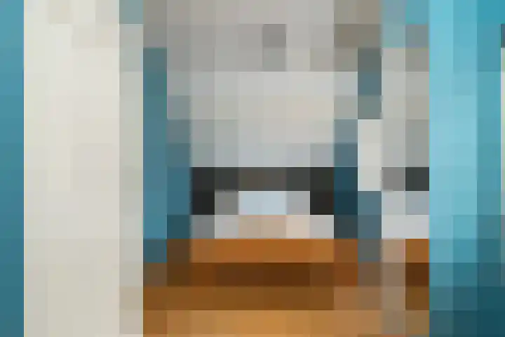 Riperwei 38 Jutrijp thumbnail 27