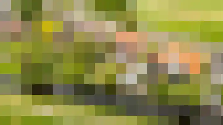 Riperwei 38 Jutrijp thumbnail 4
