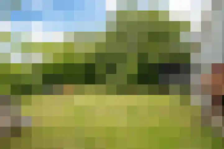 Riperwei 38 Jutrijp thumbnail 40