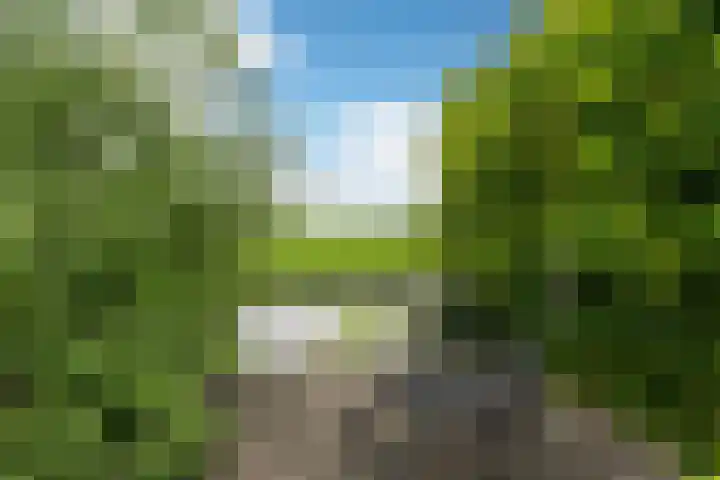 Riperwei 38 Jutrijp thumbnail 41