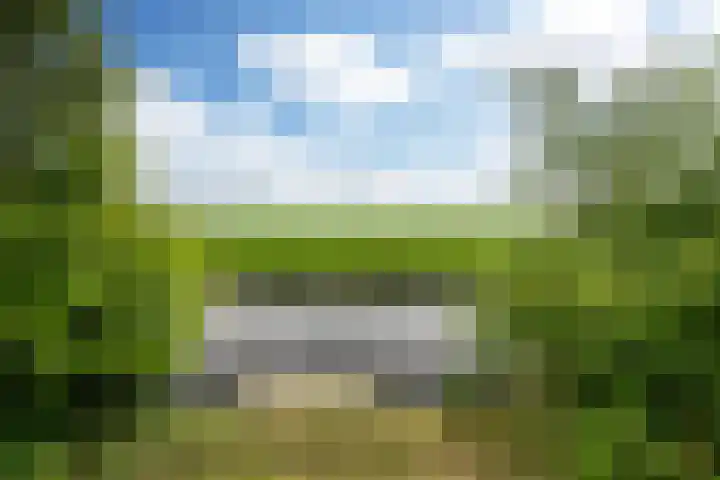 Riperwei 38 Jutrijp thumbnail 42