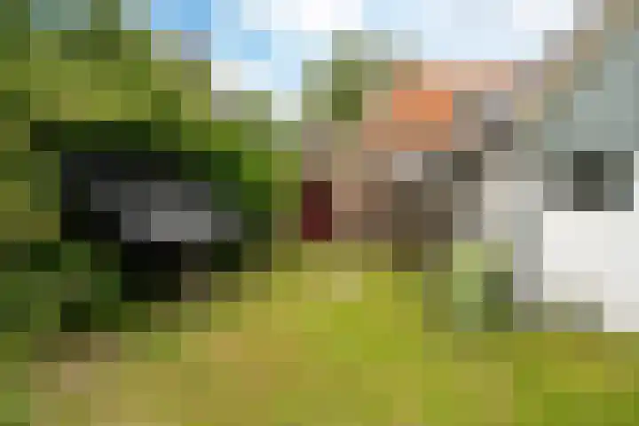 Riperwei 38 Jutrijp thumbnail 43