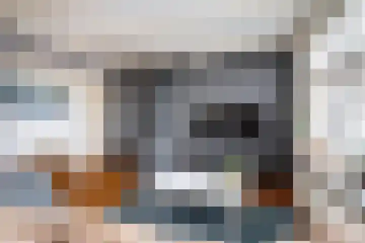Riperwei 38 Jutrijp thumbnail 9