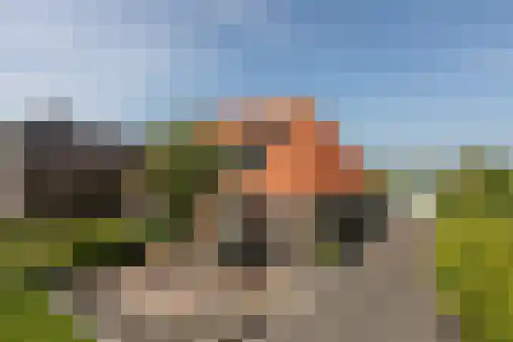 Riperwei 40 Jutrijp