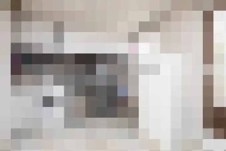 Riperwei 40 Jutrijp thumbnail 23