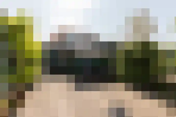 Riperwei 40 Jutrijp thumbnail 27