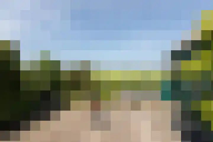 Riperwei 40 Jutrijp thumbnail 28