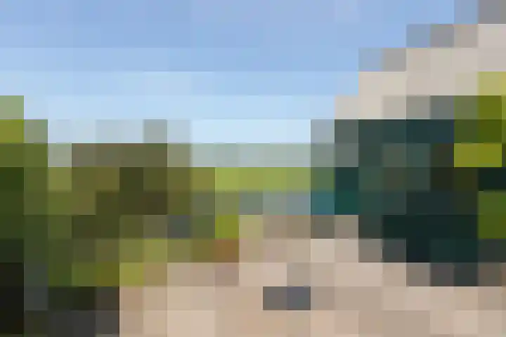 Riperwei 40 Jutrijp thumbnail 29