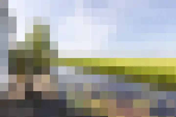Riperwei 40 Jutrijp thumbnail 30